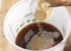 啤酒酵母 被低估的营养宝库，不止于缓解口腔溃疡