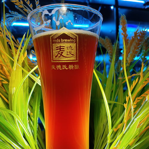 微型啤酒设备中减少啤酒氧化的措施与啤酒酵母的作用