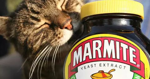 餐饮业战“疫”新动向 海底捞精酿线下扩张，BrewDog跨界酵母酱，行业自救各显神通